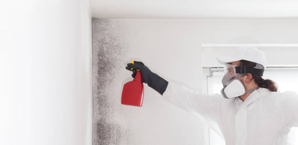 Best Mold Testing  in Inniswold, LA